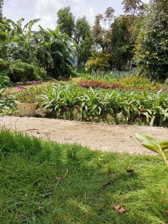 The Galways Edge Homestay Nuwara Eliya Exterior photo